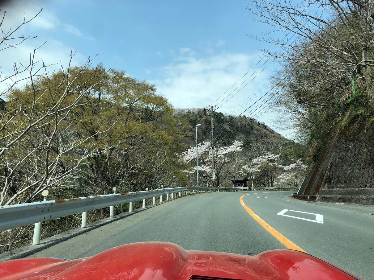 イメージ 33