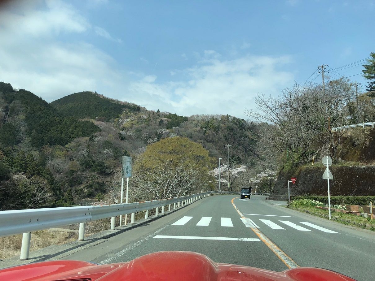 イメージ 30