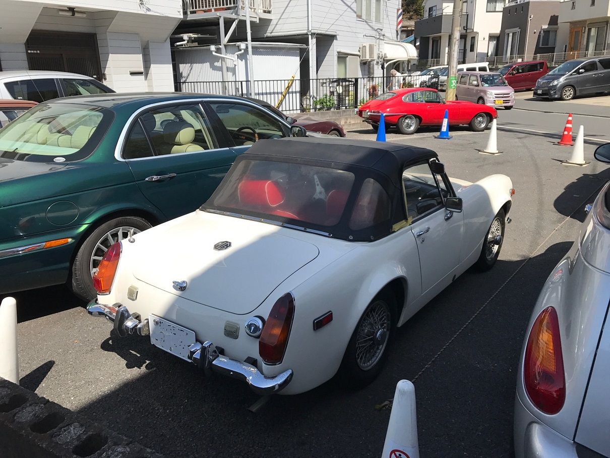 イメージ 16