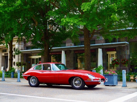 P5220604 - コピー