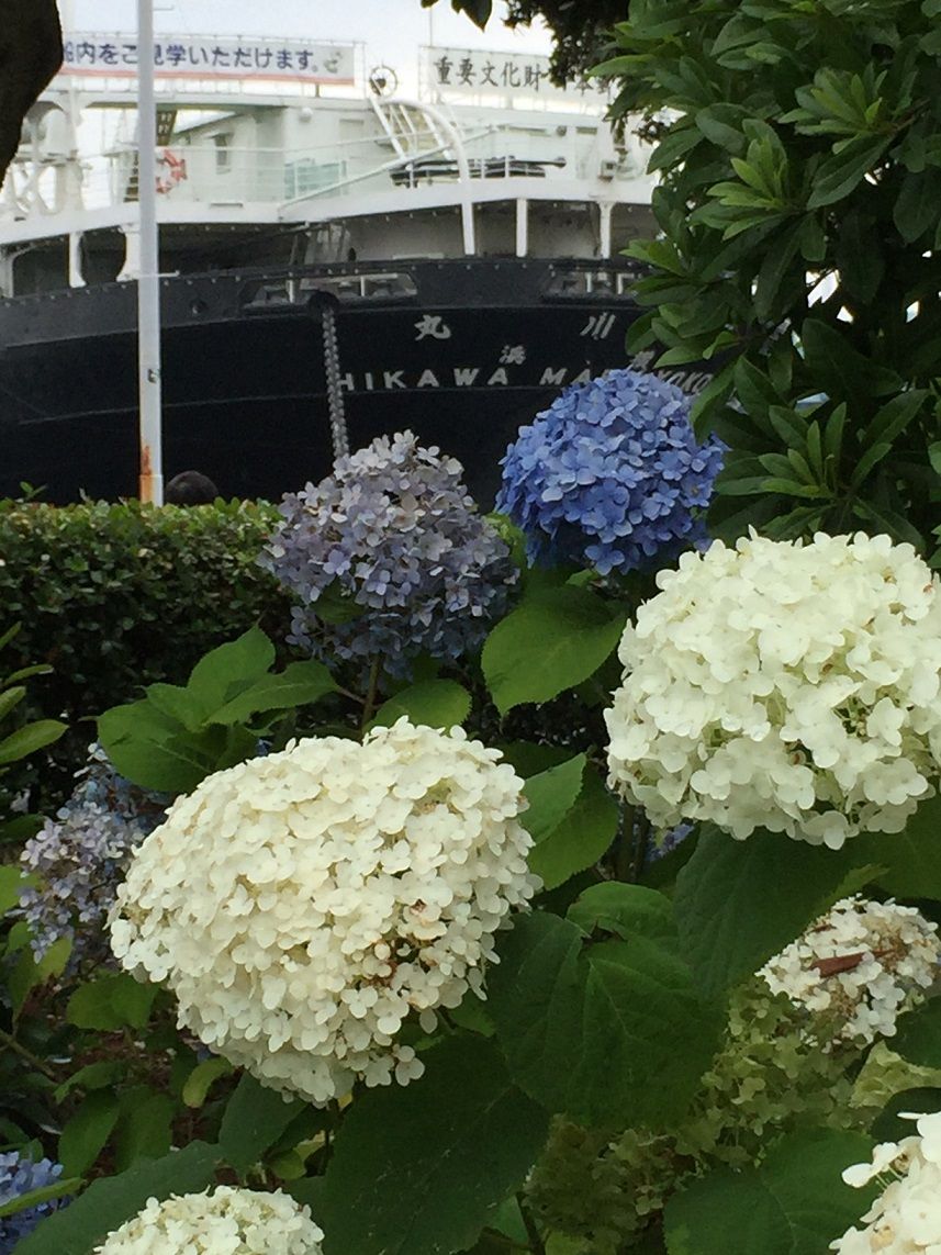 イメージ 34