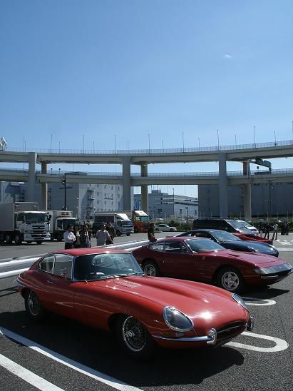 イメージ 8