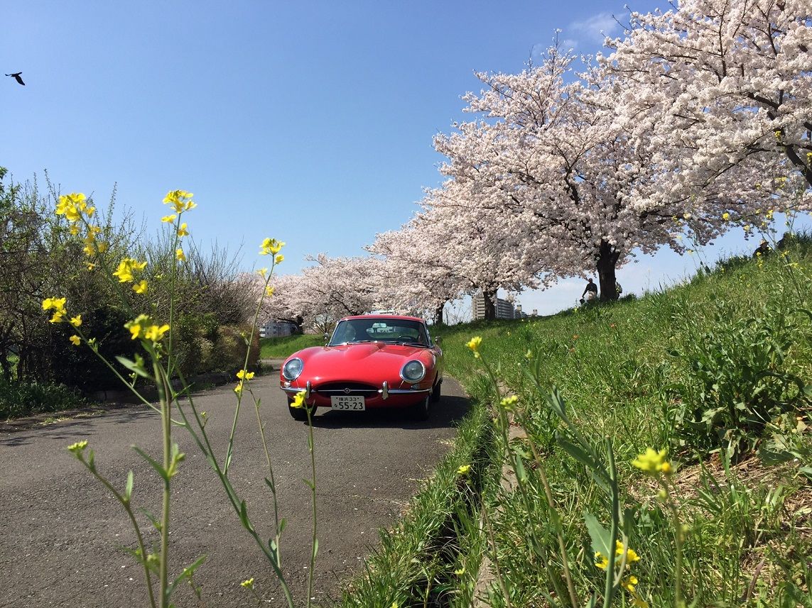 イメージ 12
