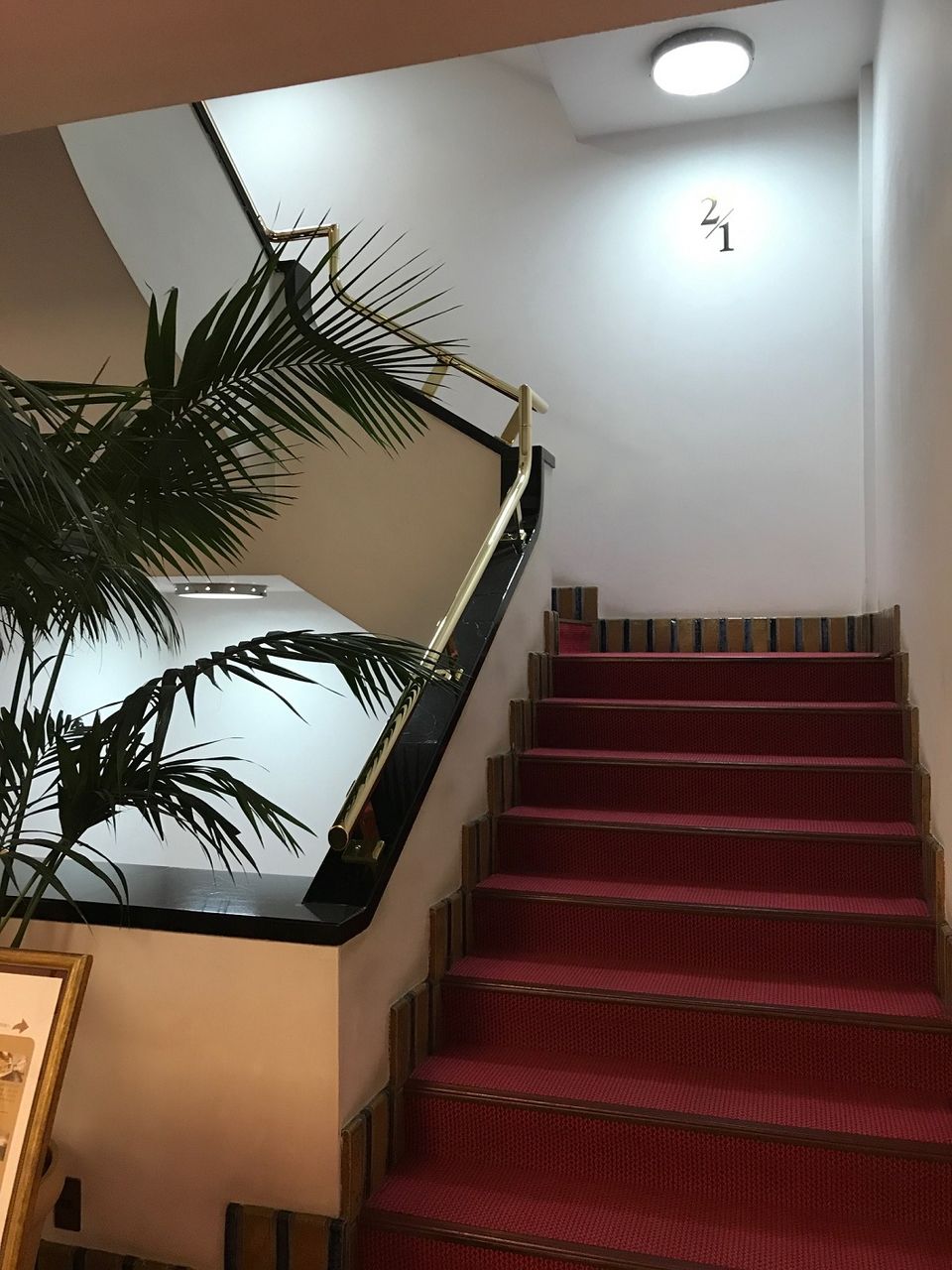 イメージ 12