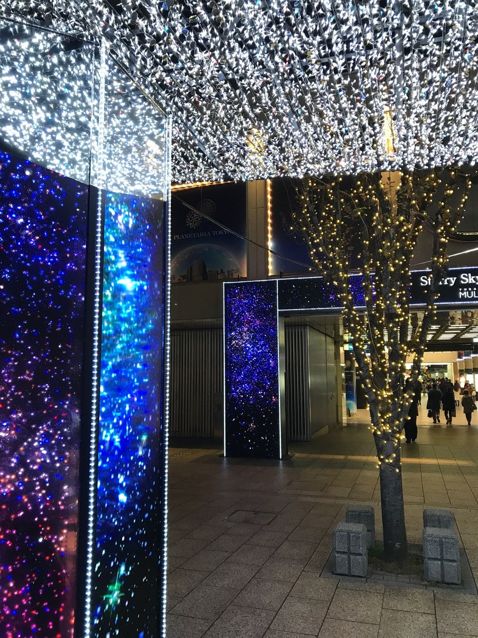 イメージ 5