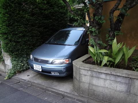 イメージ 5