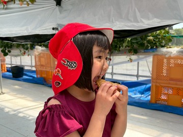 LINE_ALBUM_20260428いちご狩り_260505_195