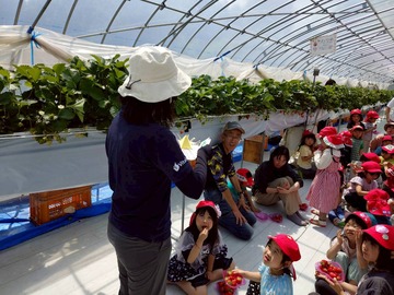 LINE_ALBUM_20260428いちご狩り_260505_247