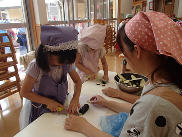 P6050048