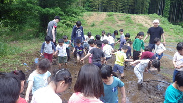 IMGP2450