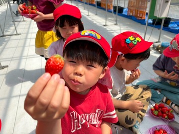 LINE_ALBUM_20260428いちご狩り_260505_172