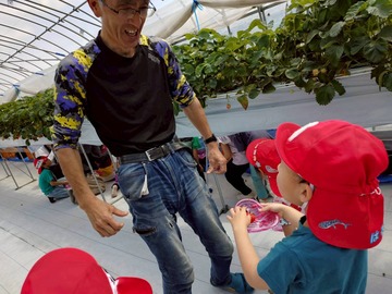 LINE_ALBUM_20260428いちご狩り_260505_254