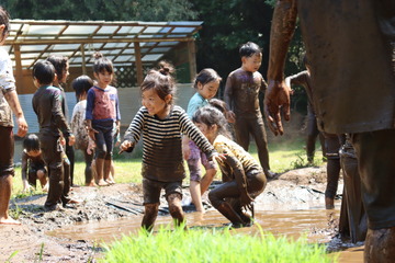 JPG_000181