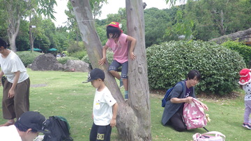 IMGP2624