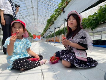LINE_ALBUM_20260428いちご狩り_260505_88