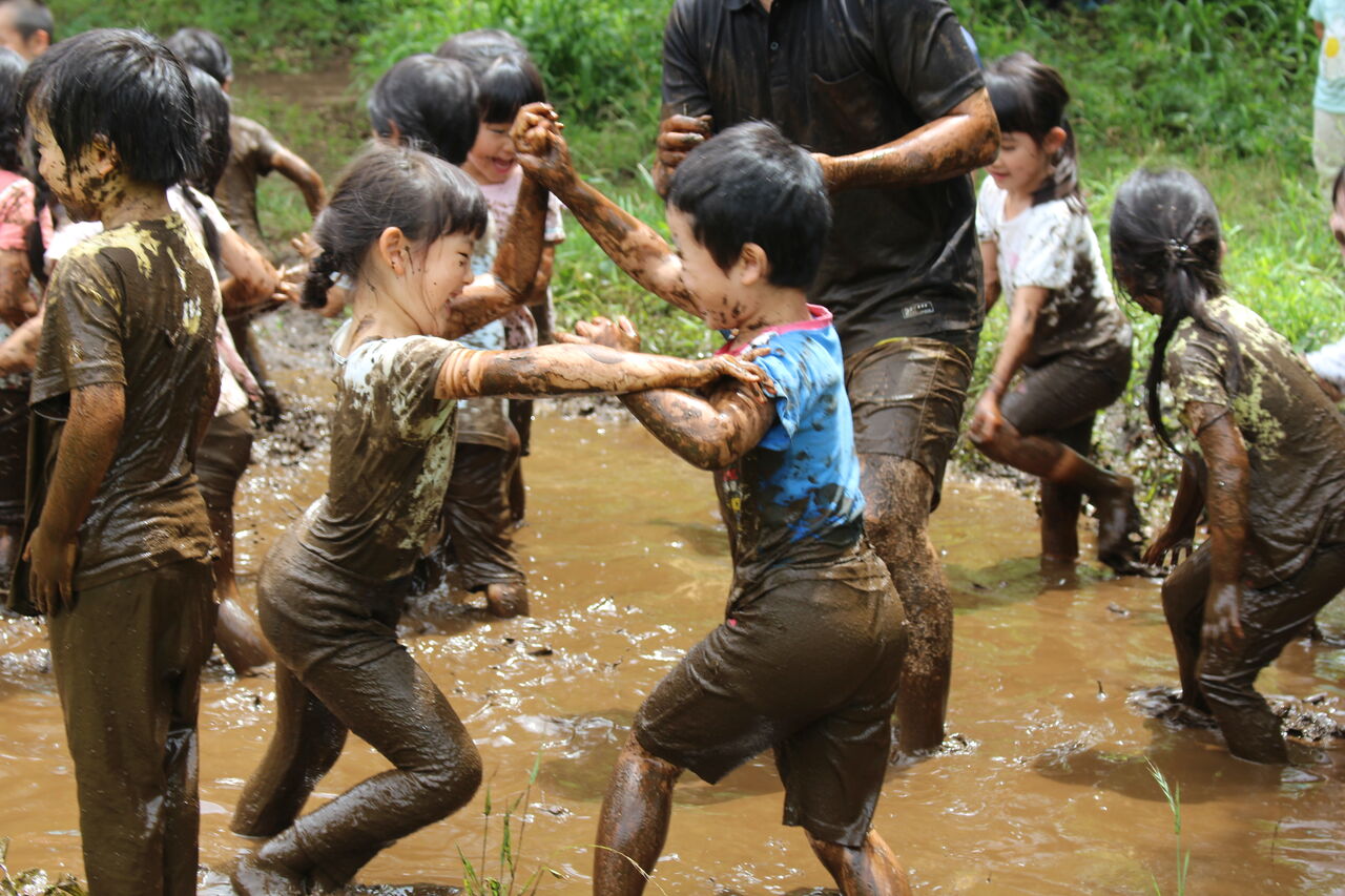 908 年長組田んぼの代掻き どろんこ遊び 千葉市 若竹保育園のブログ