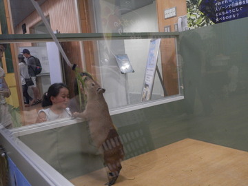 P8230132