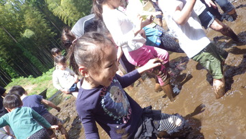 IMGP2456