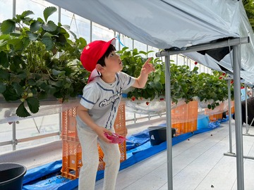 LINE_ALBUM_20260428いちご狩り_260505_151