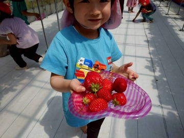 LINE_ALBUM_20260428いちご狩り_260505_252