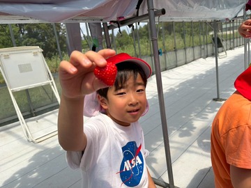 LINE_ALBUM_20260428いちご狩り_260505_173