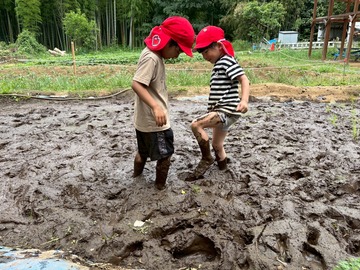 LINE_ALBUM_つばめぐみ　田植え🌾_260607_113