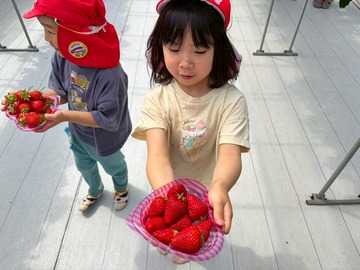LINE_ALBUM_20260428いちご狩り_260505_162