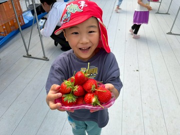 LINE_ALBUM_20260428いちご狩り_260505_158