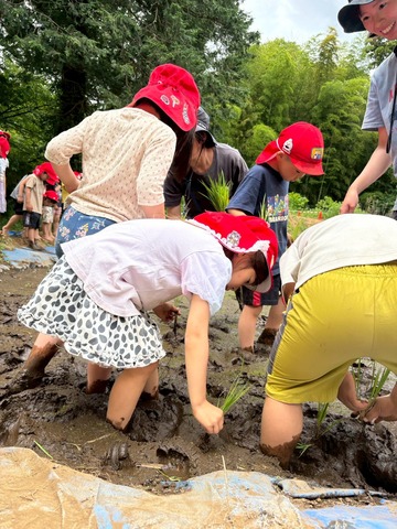 LINE_ALBUM_つばめぐみ　田植え🌾_260607_33