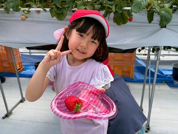 LINE_ALBUM_20260428いちご狩り_260505_144