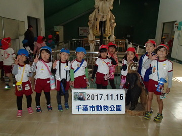 PB162833