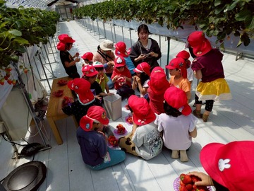 LINE_ALBUM_20260428いちご狩り_260505_249