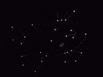 P8303997