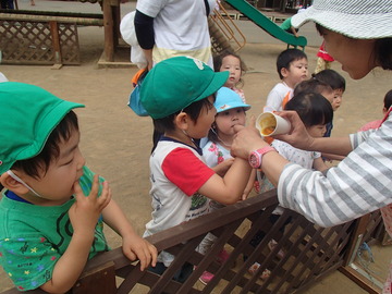 P6051081