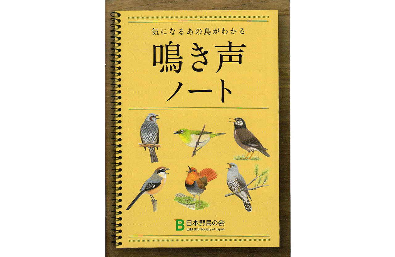 変わった鳴き声をする鳥たち みちょぱ と鳴く鳥 コジュケイ サイクリング ウォーキング