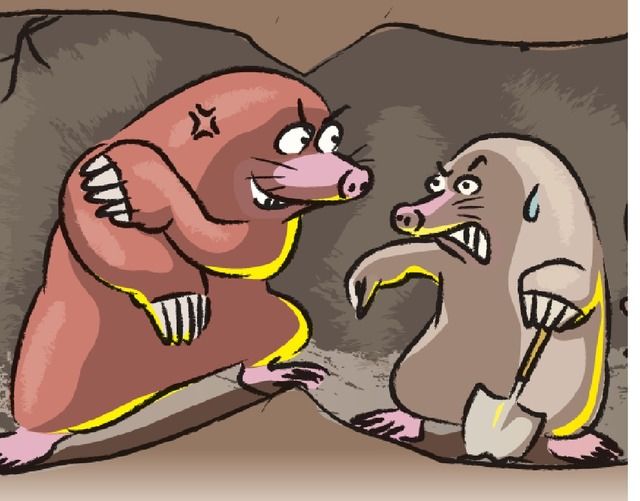 東西モグラ 天下分け目の決戦 攻めるコウベにも弱点が サイクリング ウォーキング 東西モグラ 天下分け目の決戦 攻めるコウベにも弱点が サイクリング ウォーキング