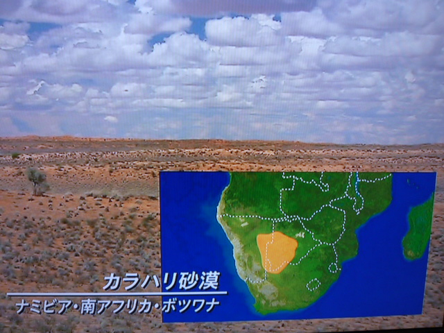 乾燥の大地を生き抜く ナミブ砂漠 カラハリ砂漠 サイクリング ウォーキング
