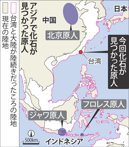 アジアで化石が見つかった原人