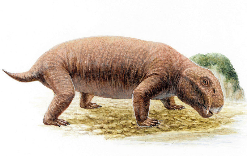 サイクリング・ウォーキング                KW