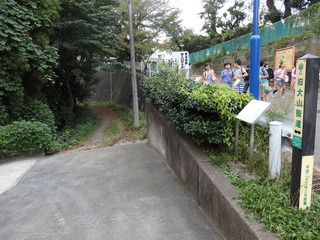 長坂夜雨(旧大山街道）