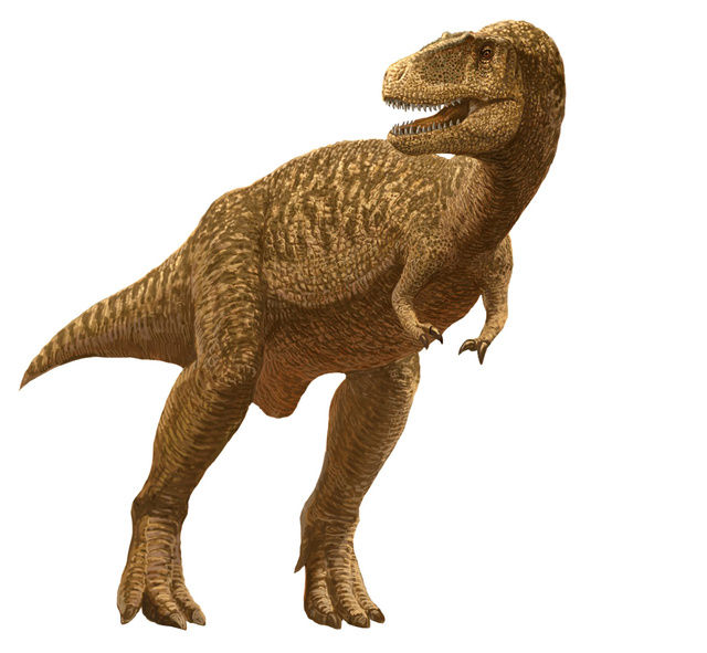 恐竜化石の歯 7m超ティラノサウルス科か 熊本で発見 サイクリング ウォーキング
