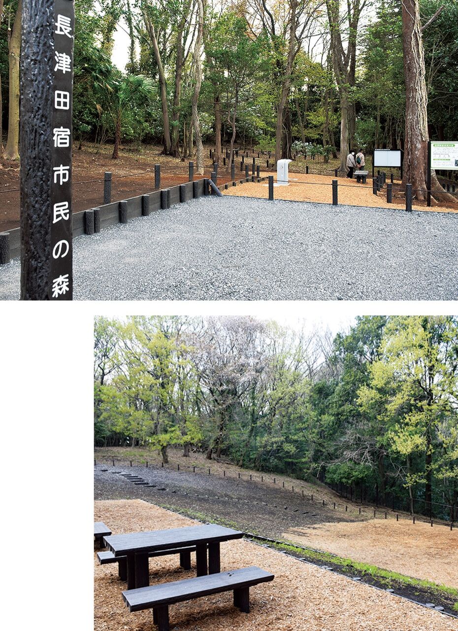 長津田 市民の森がオープン 約1万6千 を公開 サイクリング ウォーキング