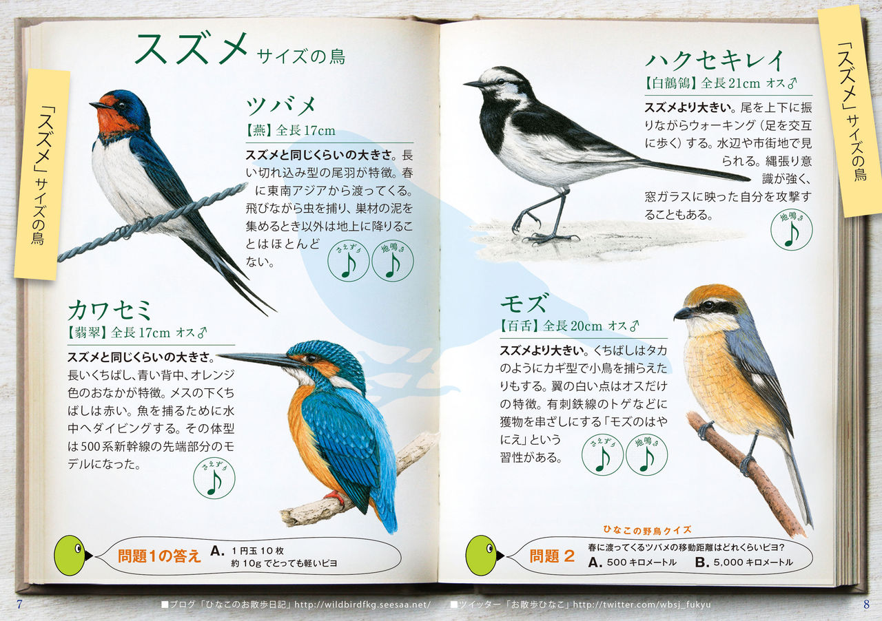 野鳥に四季を感じて サイクリング ウォーキング 野鳥に四季を感じて サイクリング ウォーキング