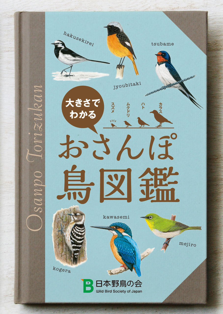 野鳥に四季を感じて サイクリング ウォーキング 野鳥に四季を感じて サイクリング ウォーキング