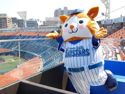 横浜スタジアム 居酒屋感覚で野球観戦 サイクリング ウォーキング