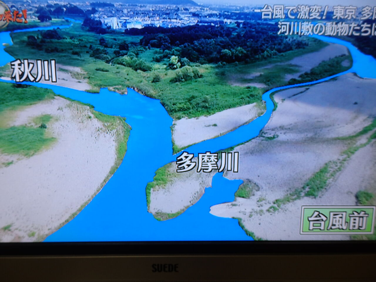 ダーウィンが来た 台風で出現 多摩川 秘密の楽園 サイクリング ウォーキング ダーウィンが来た 台風で出現 多摩川 秘密の楽園 サイクリング ウォーキング