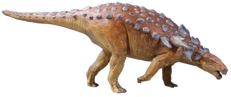 化石　恐竜　超大型　ノドサウルス類・エドモントニアの歯 化石 恐竜 超大型 ノドサウルス類・エドモントニアの歯