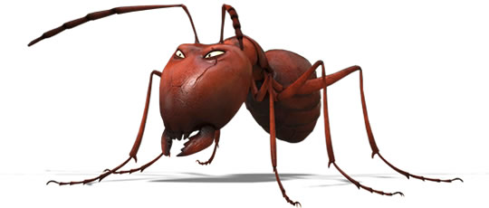 実写とcg合成 仏アニメ映画が日本公開 サイクリング ウォーキング