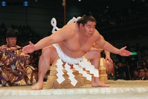 国技館の優勝額から日本人力士消える サイクリング ウォーキング 国技館の優勝額から日本人力士消える サイクリング ウォーキング