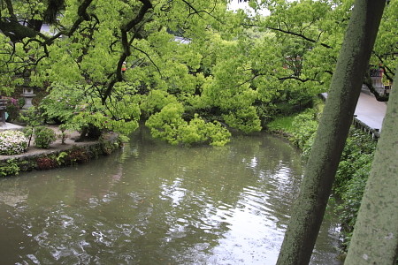 14IMG_5415